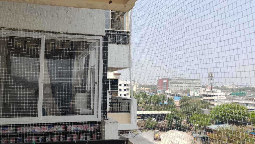 Pigeon Safety Nets