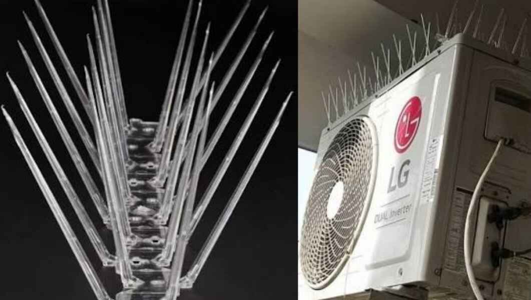 Bird Spikes