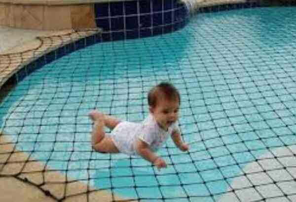 Best safety nets services