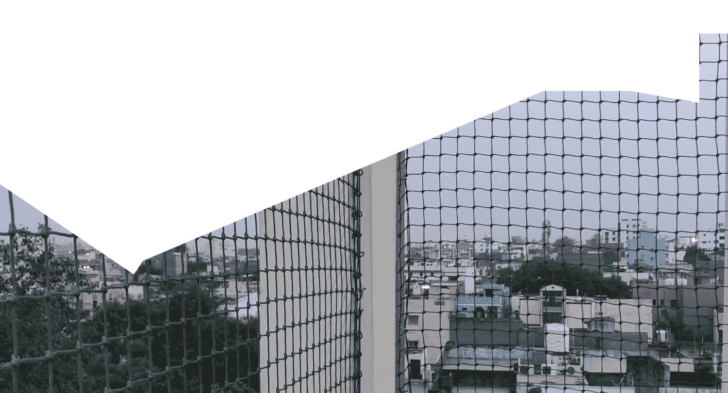 bird safety nets